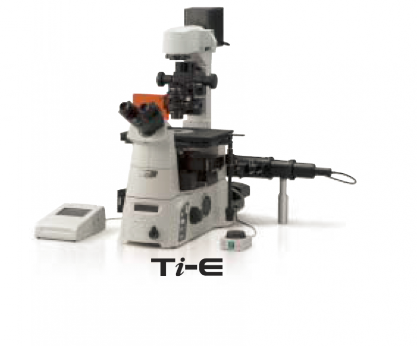 microscopio.png microscopio.png