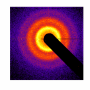 speckle.png